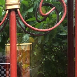 Meet your Posher, Rosalynn